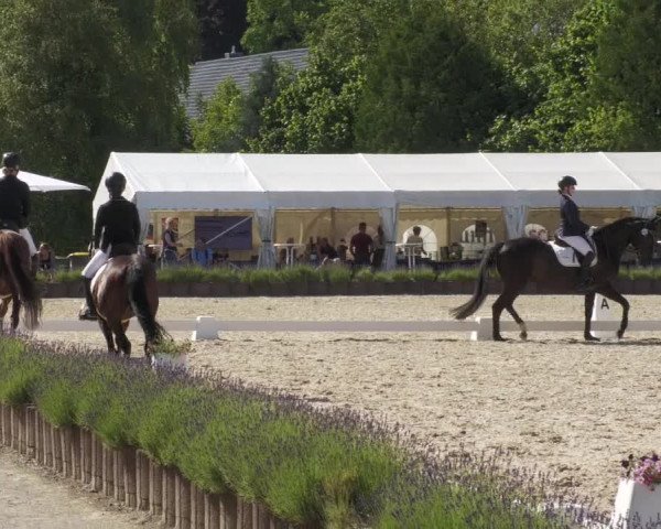 Reitturnier Lindlar - Reitanlage Dückers 2022
