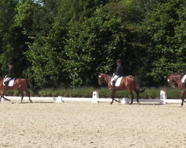 Reitturnier Lindlar - Reitanlage Dückers 2022