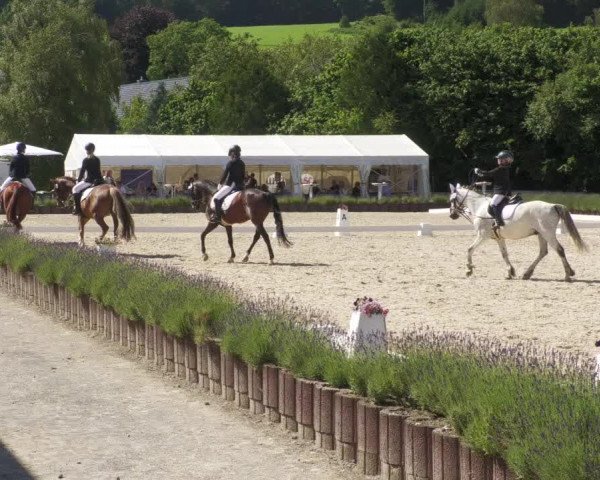 Reitturnier Lindlar - Reitanlage Dückers 2022