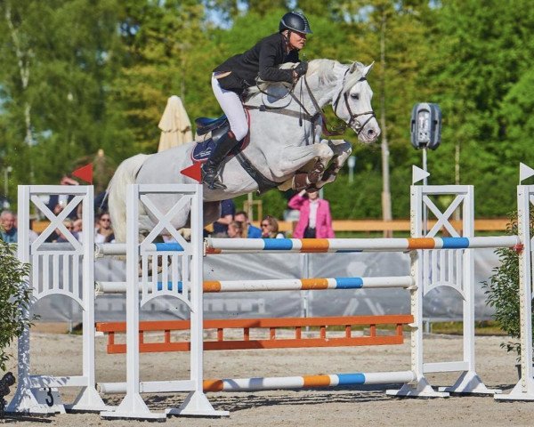 stallion Come And Fly (Oldenburg show jumper, 2011, from Cornet Obolensky)