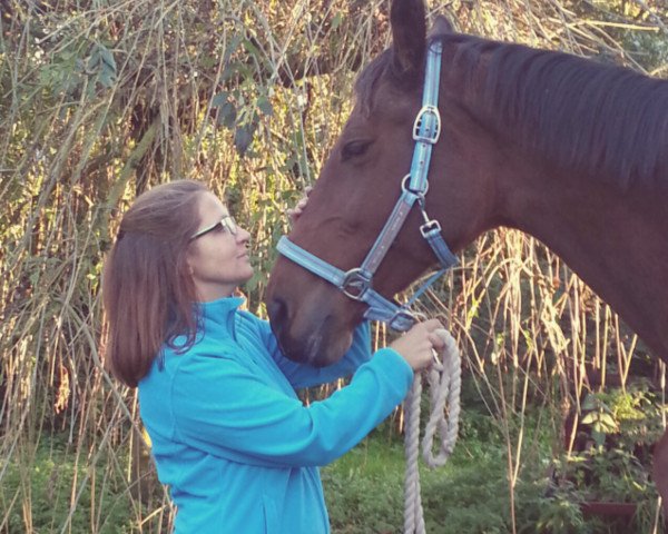 broodmare Hedwig (Holsteiner, 1993, from Silvester)