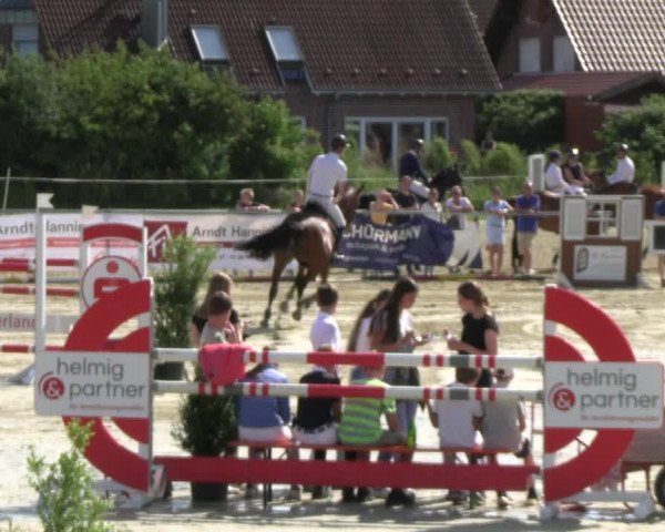 Reitturnier Ascheberg 2022