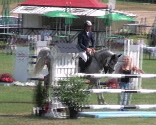 jumper Cantobar (Holsteiner, 2007, from Canto) jumper Cantobar (Holsteiner, 2007, from Canto)