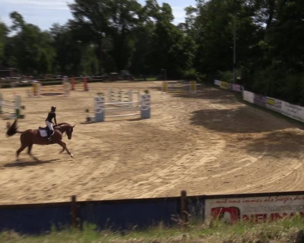 Reitturnier Reken 2022