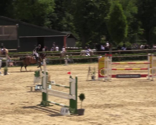 Reitturnier Reken 2022