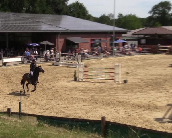 Reitturnier Reken 2022