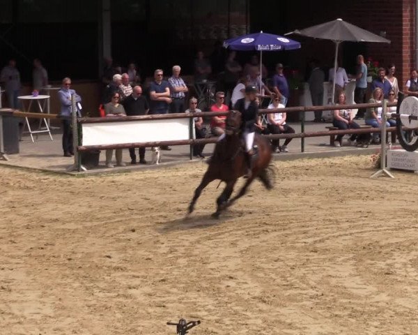 Reitturnier Reken 2022