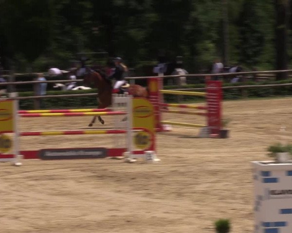 Reitturnier Reken 2022