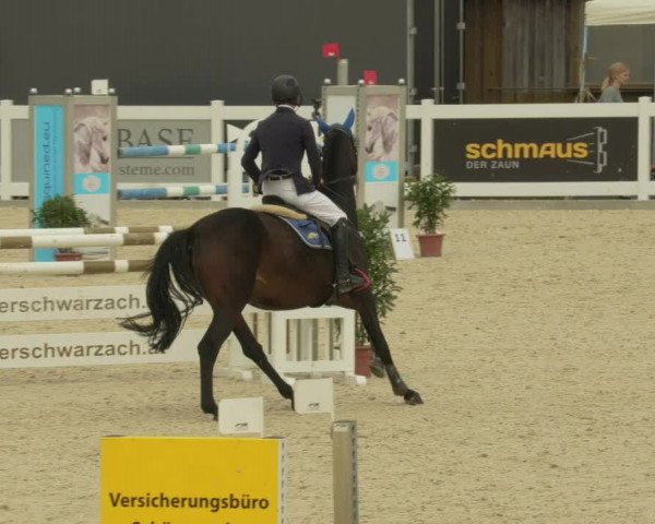 Springturnier Memmingen 2021