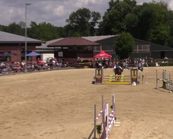 Reitturnier Reken 2022