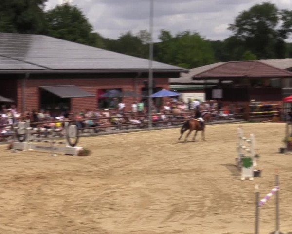 Reitturnier Reken 2022