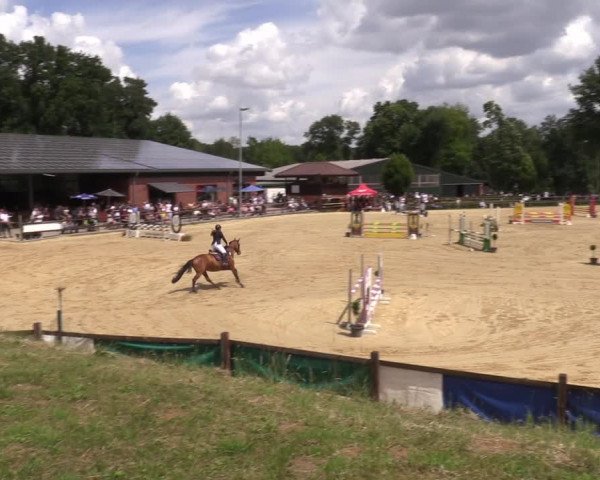 Reitturnier Reken 2022