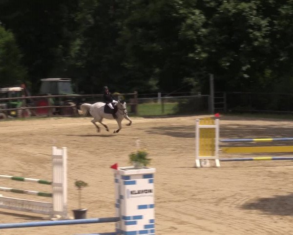 Reitturnier Reken 2022