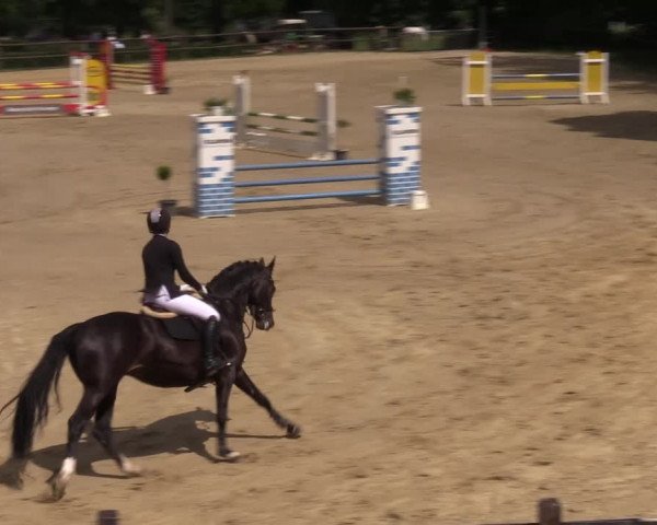 Reitturnier Reken 2022