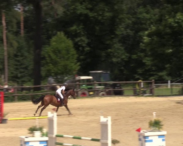 Reitturnier Reken 2022