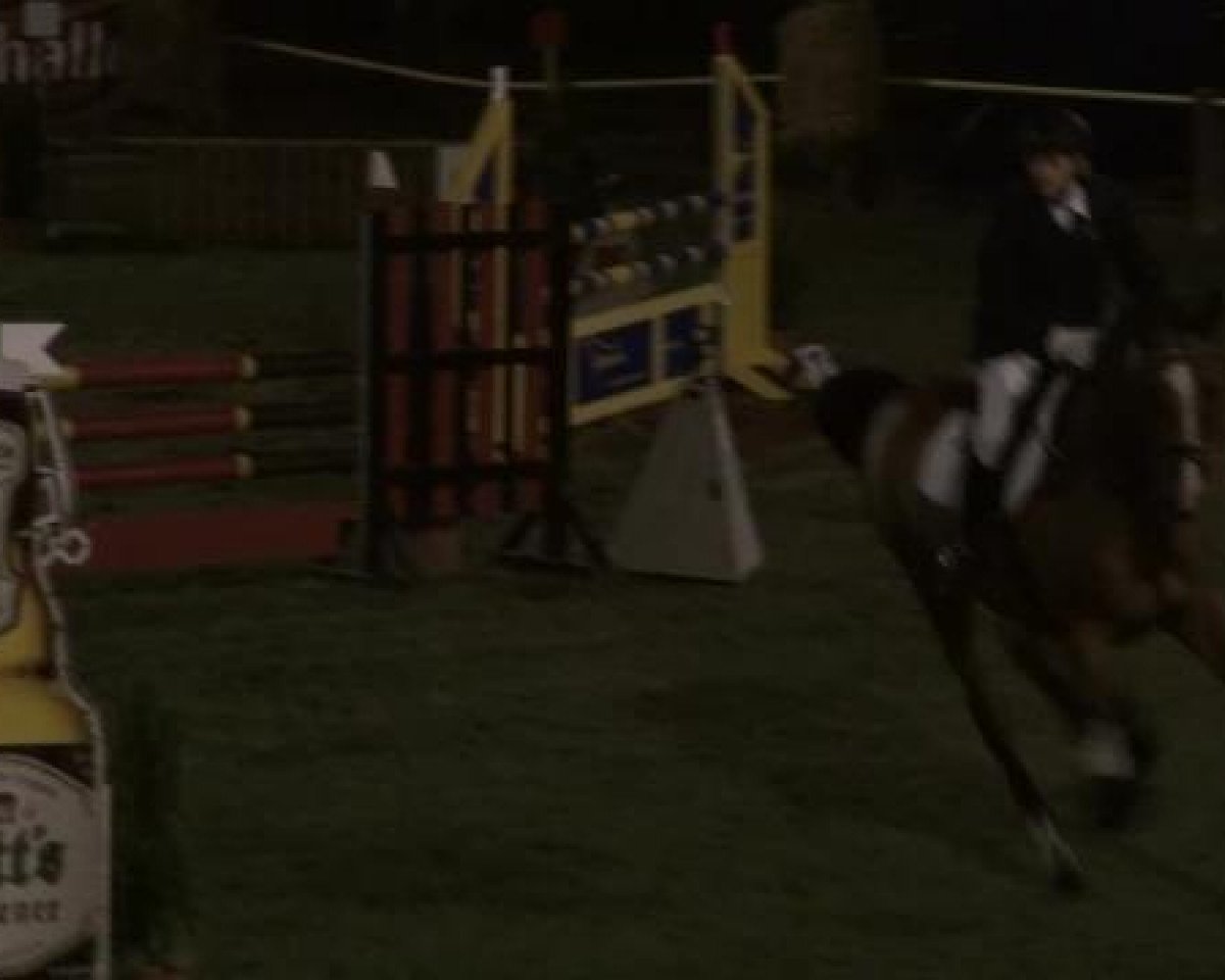 Cavallo da salto Contract 2 (Holstein, 1994, di Capitol I) - Ostbevern 2012
Freitag, den 24.08.2012
28. Springprfg.Kl.A** m.St.
