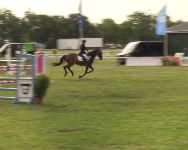 Reitturnier Rendsburg 2022