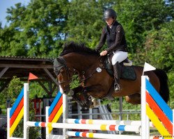 jumper Inka M (Holsteiner, 2016, from Quibery 3)