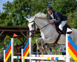 jumper Urmel 115 (KWPN (Royal Dutch Sporthorse), 2008, from Ustinov)