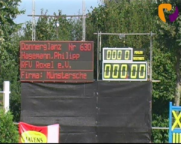 horse Donnerglanz 4 (Westphalian, 2005, from Don Lauredo)