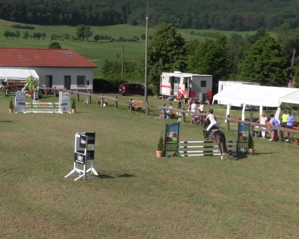 Reitturnier Wingerode 2022
