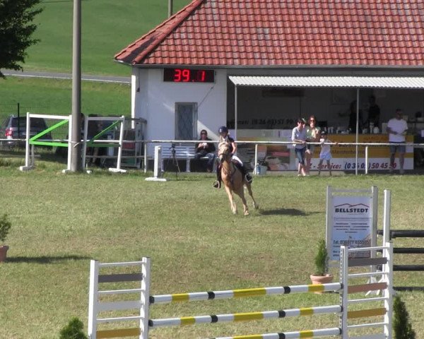 Reitturnier Wingerode 2022