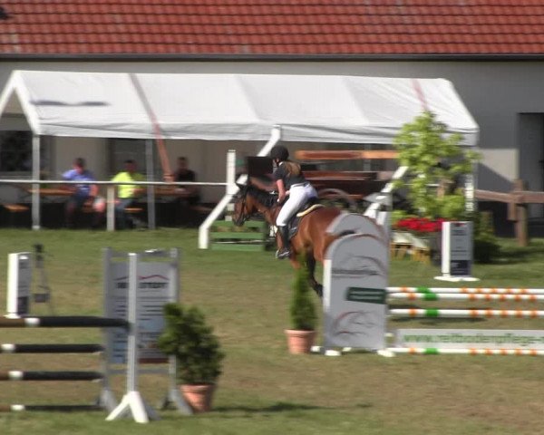 Reitturnier Wingerode 2022