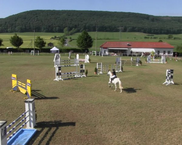 Reitturnier Wingerode 2022