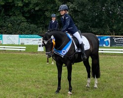 dressage horse Claus Von Calva (German Riding Pony, 2010, from Calvados)