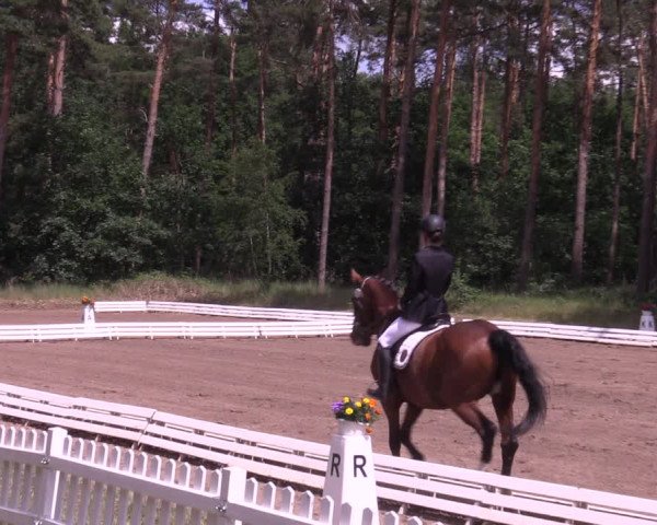 Reitturnier Wörmlitz 2022
