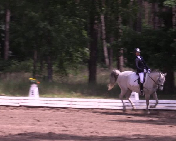 Reitturnier Wörmlitz 2022