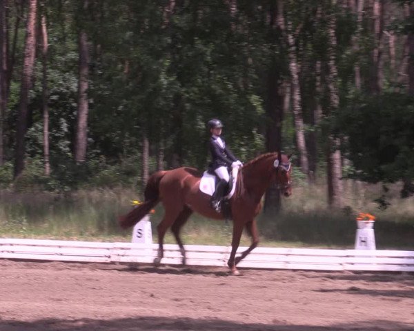 Reitturnier Wörmlitz 2022