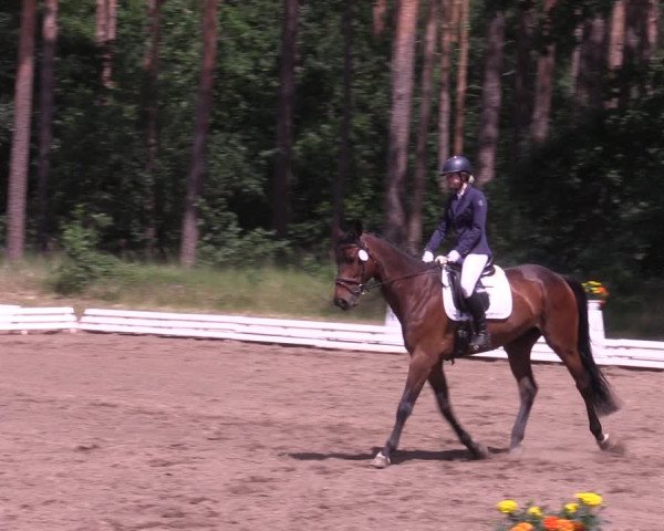 Reitturnier Wörmlitz 2022