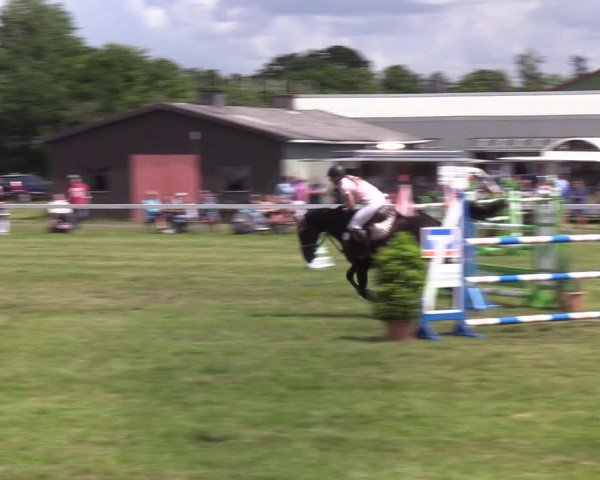Reitturnier Rendsburg 2022