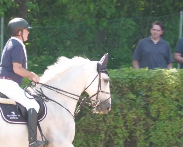Reitturnier Böblingen 2022