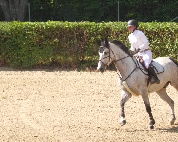 Reitturnier Böblingen 2022