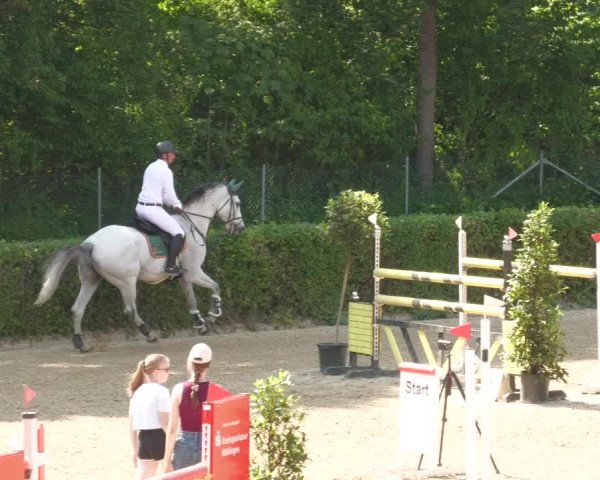 Reitturnier Böblingen 2022