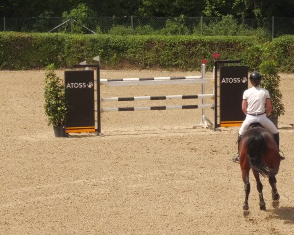 Reitturnier Böblingen 2022