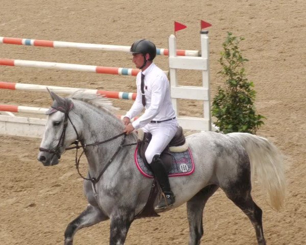 Reitturnier Böblingen 2022