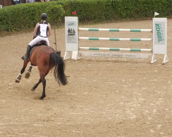 Reitturnier Böblingen 2022