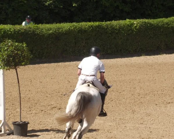 Reitturnier Böblingen 2022