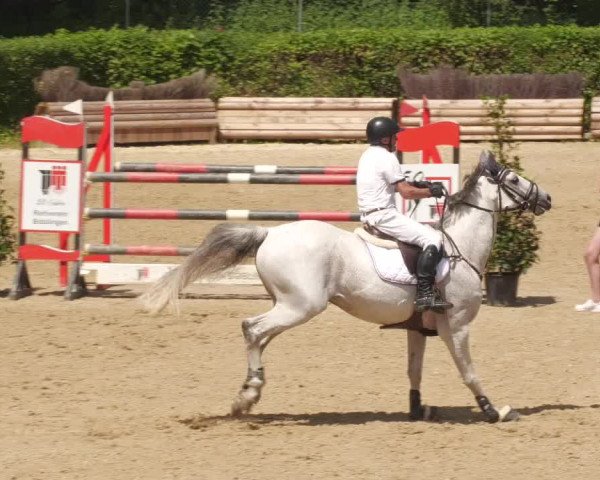 Reitturnier Böblingen 2022