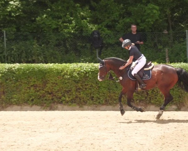 Reitturnier Böblingen 2022