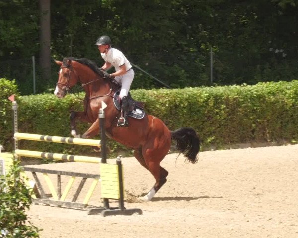 Reitturnier Böblingen 2022