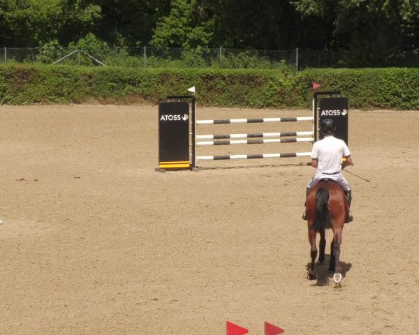Reitturnier Böblingen 2022