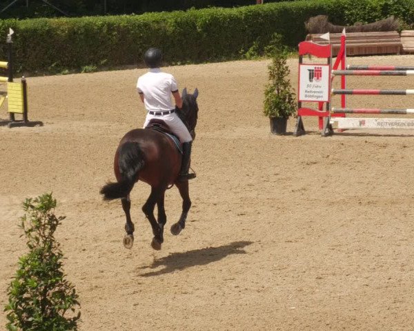 Reitturnier Böblingen 2022