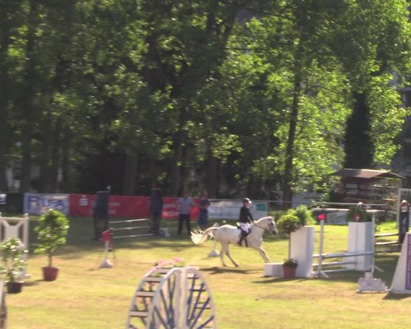 Reitturnier Lengenfeld/Vogtl. 2022