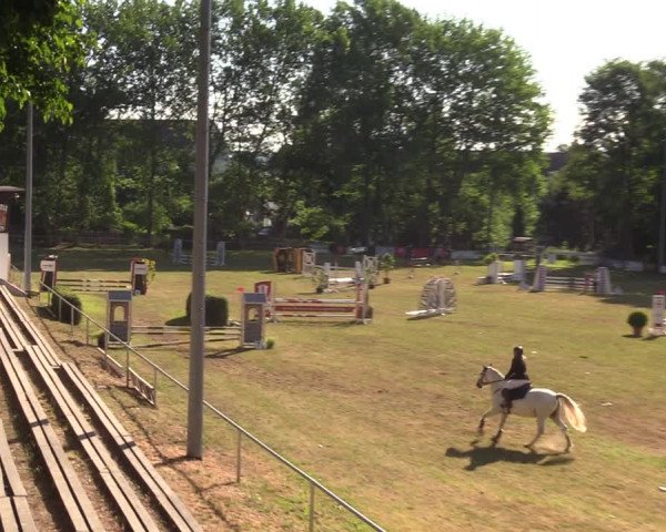 Reitturnier Lengenfeld/Vogtl. 2022