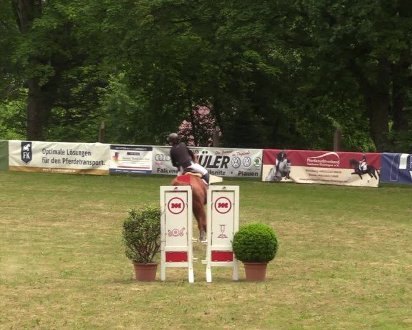 Reitturnier Lengenfeld/Vogtl. 2022