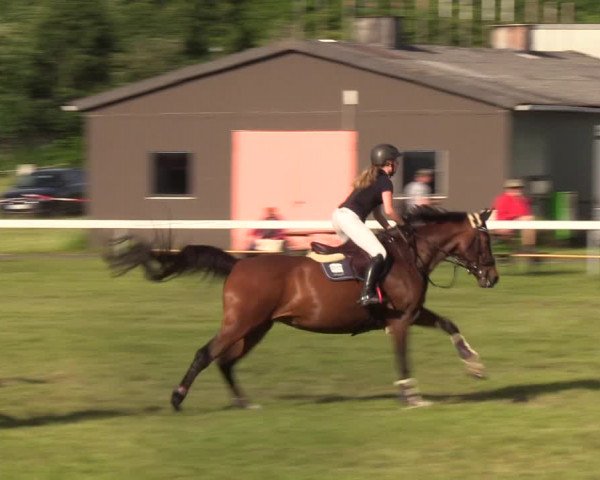 Reitturnier Rendsburg 2022